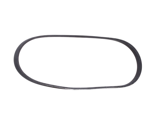 RIDEX 305P0548 Cinghia servizi