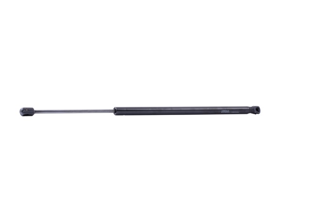 RIDEX 219G1027 Amortecedor da mala