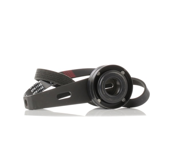 RIDEX 542R0695 Drivremssats