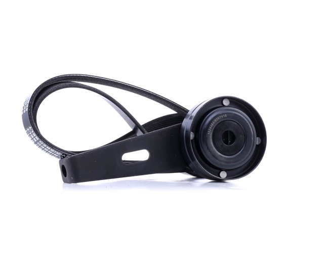 Courroie Poly-V 542R0696 RIDEX 71749420 BMW