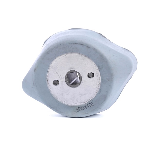 Ātrumkārbas spilveni RIDEX CHRYSLER 249M0171