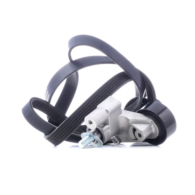 RIDEX 542R0698 Jeu de courroies trapézoïdales à nervures