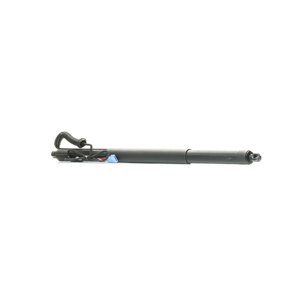 Elmotor, bagklap 219G1033 RIDEX 5124 7 232 004 ALPINA