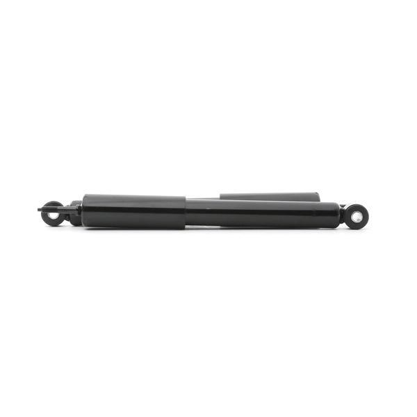 RIDEX 854S18106 Stoßdämpfer Hyundai i10 PA 1.1 67 PS Benzin Kosten