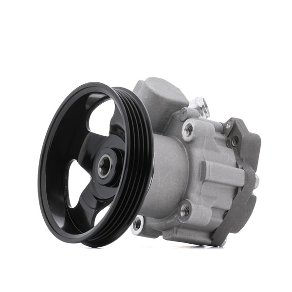 STARK SKHP-0540314 Power steering pump