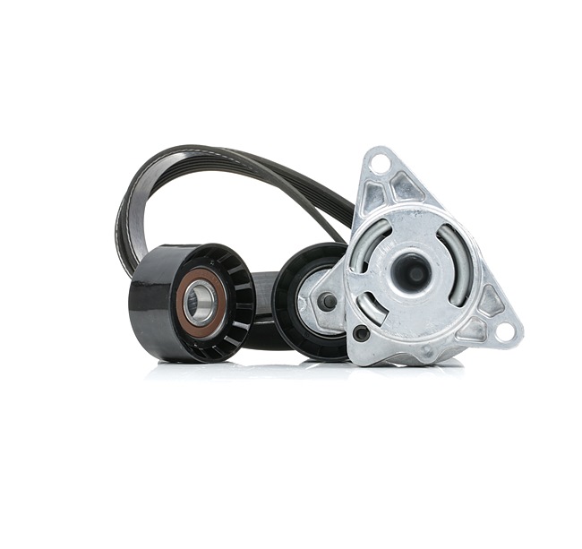 STARK SKRBS-1200702 V-ribbed belt kit for Opel Vivaro A Combi X83 2.5 CDTI (F7, J7, A07) 146 hp 2014 G9U 630 Diesel STARK SKRBS-1200702 Opel Vivaro A Combi 2.5 CDTI (F7, J7, A07) 146 hp Diesel Poly v-belt kit price