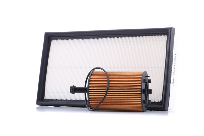 RIDEX 4055F0884 Inspektionspaket und Filterset Skoda Fabia 6Y2 1.2 64 PS Benzin Kosten