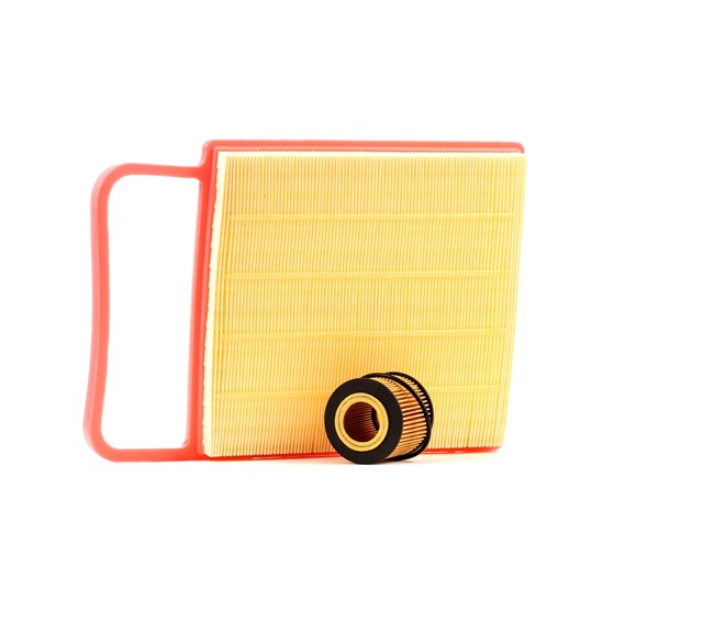 RIDEX 4055F1200 Elemento de filtro Polo 9N 1.2 54 cv Gasolina preço