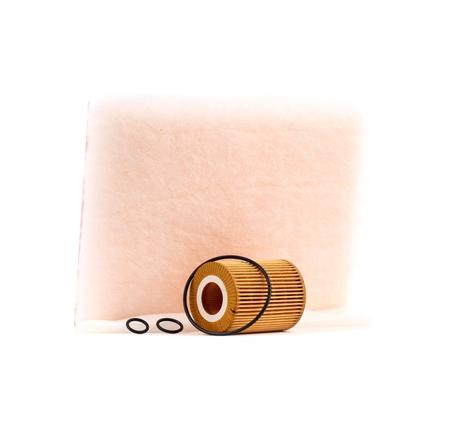 RIDEX 4055F1226 Elemento de filtro Opel Astra H 1.7 CDTI (L48) 80 cv Diesel preço