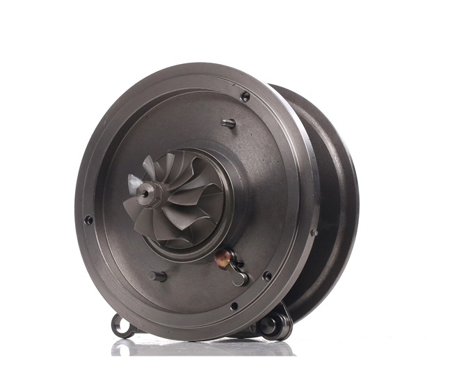 RIDEX 4973C0136 CHRA turbo