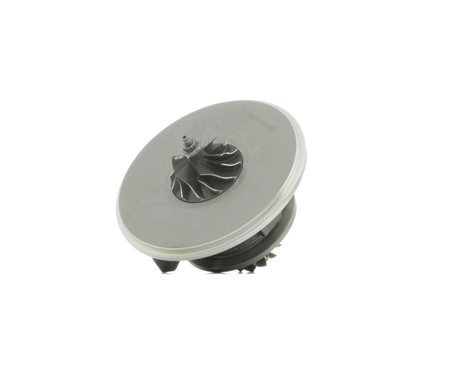 RIDEX 4973C0149 Turbo kassett