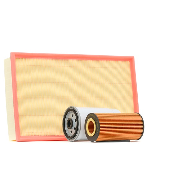 Filter kit SKFS-18887781 STARK 2830348 VW