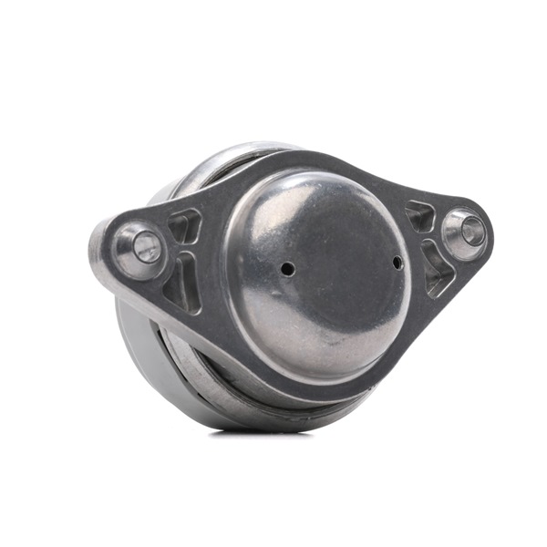 Motorsteunlager 247E0758 RIDEX 221 240 19 17 MERCEDES-BENZ