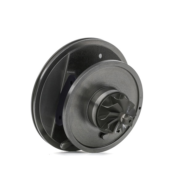 Turbolader RIDEX RENAULT 4973C0180