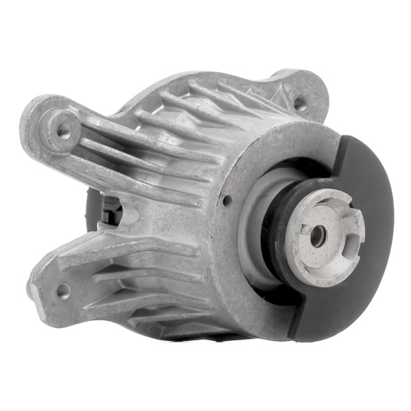 Motorophæng 247E0778 RIDEX 205 240 46 17 Motorophæng 247E0778 RIDEX 2052404617 MERCEDES-BENZ