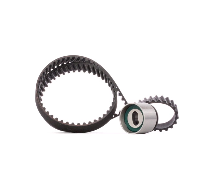 Tandrem 307T0421 RIDEX 96 610 029 FIAT