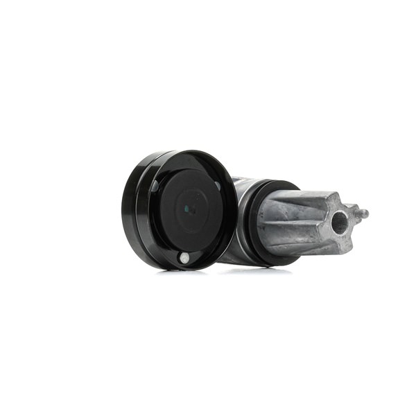 Polea inversión / guía, correa poli V 310T0523 RIDEX LR013506 Volkswagen
