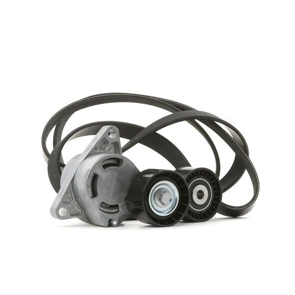RIDEX 542R0712 Multiremsæt Renault Trafic JL 2.5 dCi 115 114 HK Diesel pris
