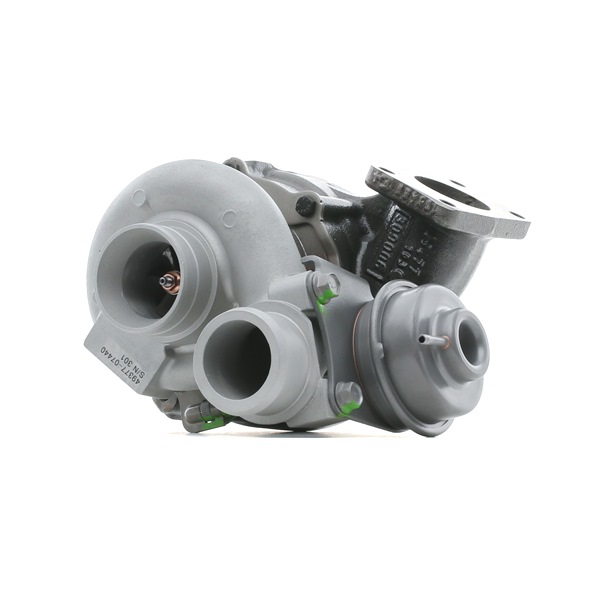 Turbocompresseur 2234C0194R RIDEX REMAN 076 145 701 HX BMW