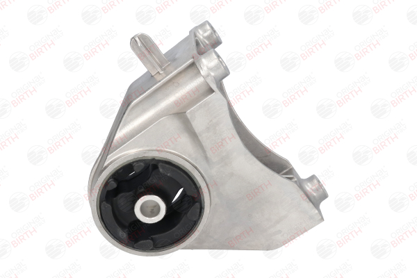 BIRTH 53467 Zampa motore Opel Antara 07 prezzo