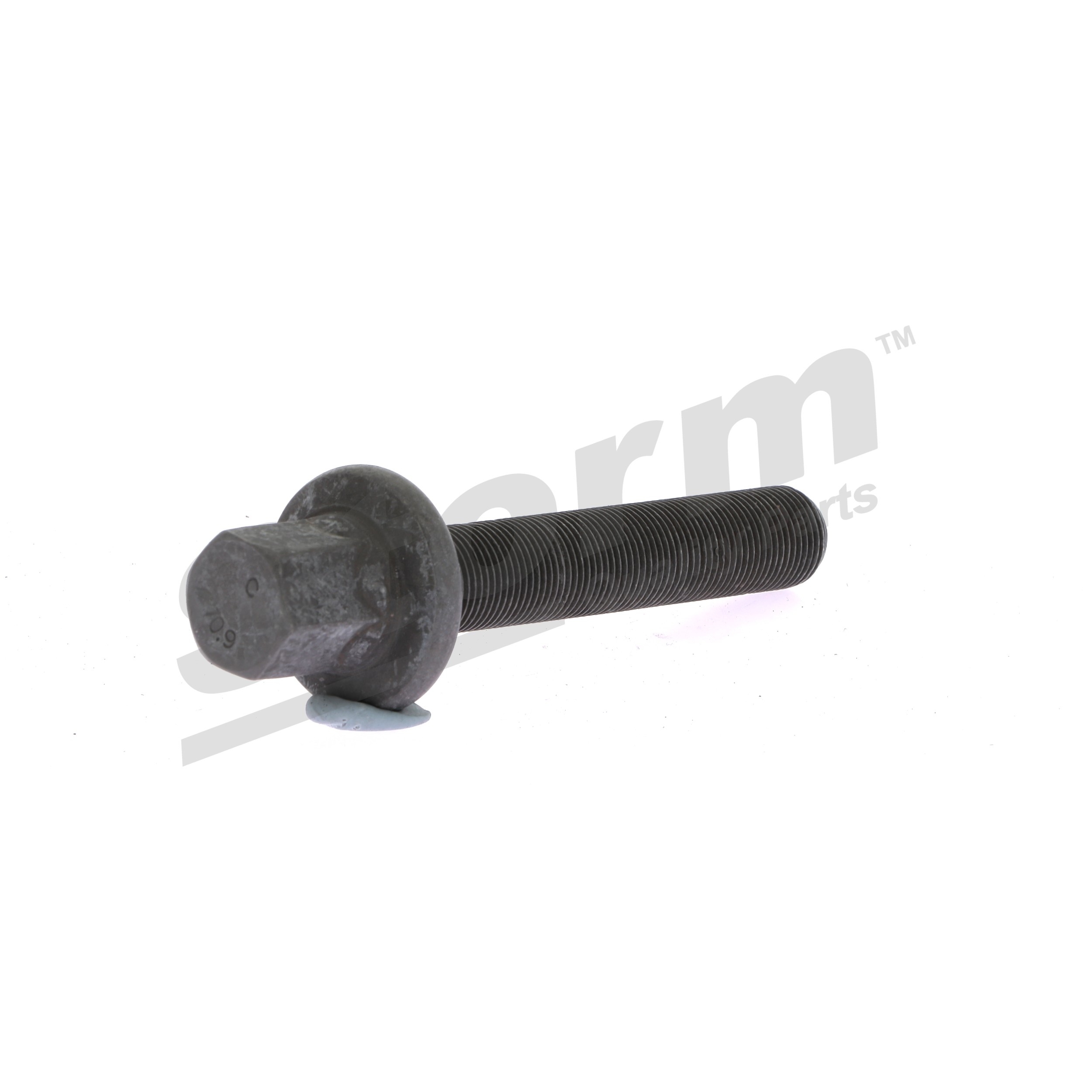 STORM QUALITY PARTS 17090KIT Riemenscheibenschraube BMW 3 Touring E46 320d 2.0 150 PS 2003 M47 D20 (204D4) Diesel STORM QUALITY PARTS 17090KIT Riemenscheibenschraube BMW E46 Touring 320d 2.0 150 PS Diesel Kosten