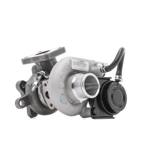 Turbolader 2234C10750 RIDEX 28231-27-000 BMW