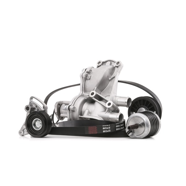 RIDEX 4172P0080 Jeu de courroies trapézoïdales à nervures Audi A4 B5 Avant 1.9 TDI quattro 110 CV Diesel 1997