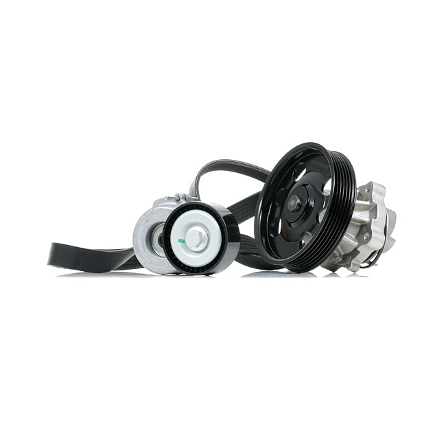 RIDEX 4172P0082 Keilrippenriemensatz Suzuki Wagon R+ MM 1.3 DDiS (RB 413D) 70 PS Diesel Kosten