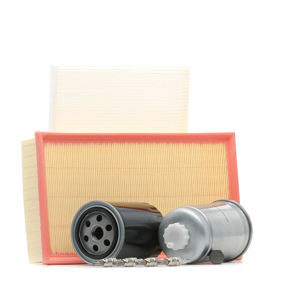 RIDEX 4682P13273 Inspektionspaket