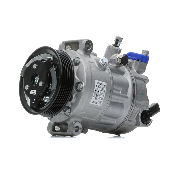 DELPHI CS20647 Kompresor do klimatyzacji VW Multivan T6 cena