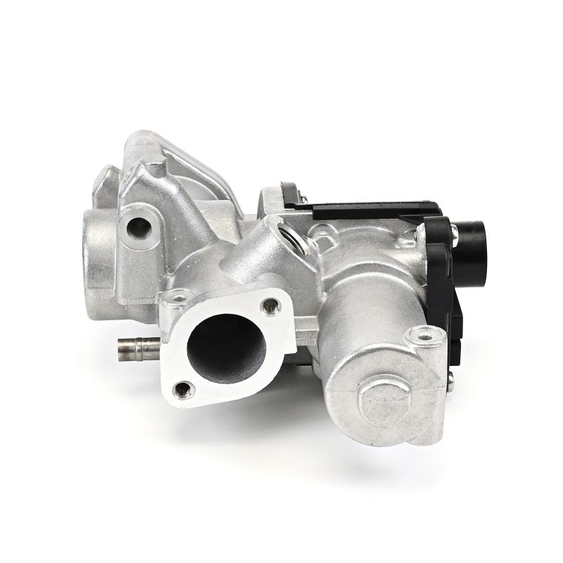 Agr szelep Volkswagen DELPHI EG10509-12B1