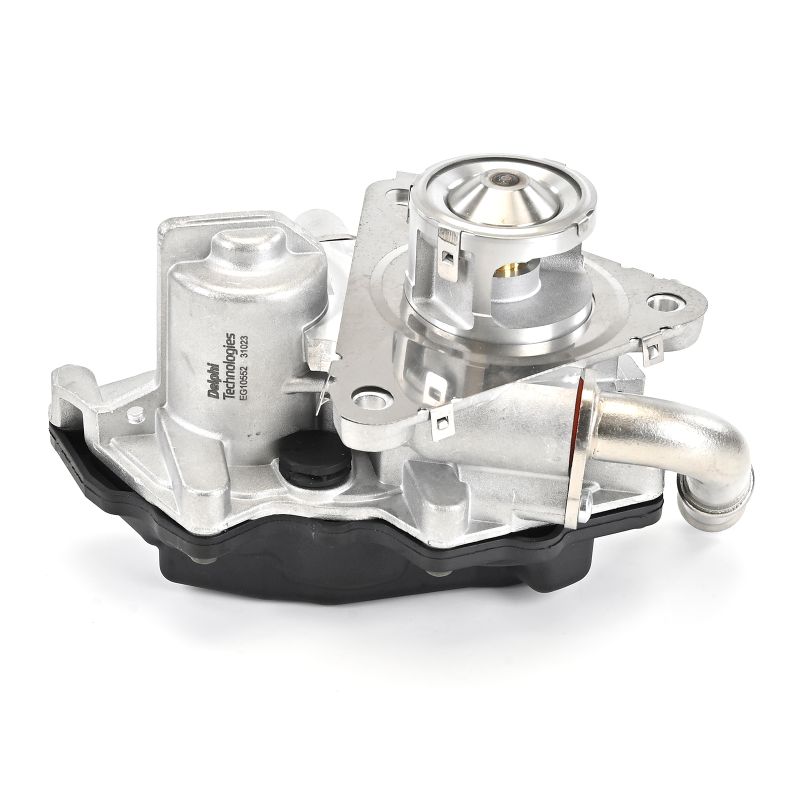 DELPHI EG10552-12B1 Válvula EGR