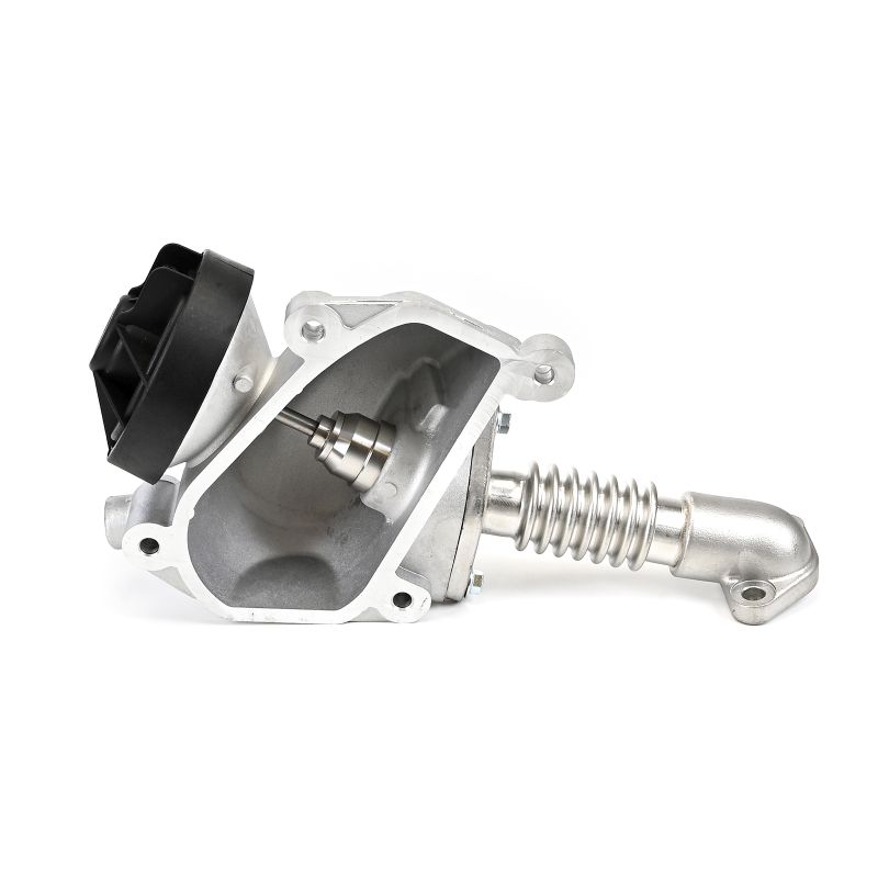 DELPHI EG10554-12B1 AGR-Ventil