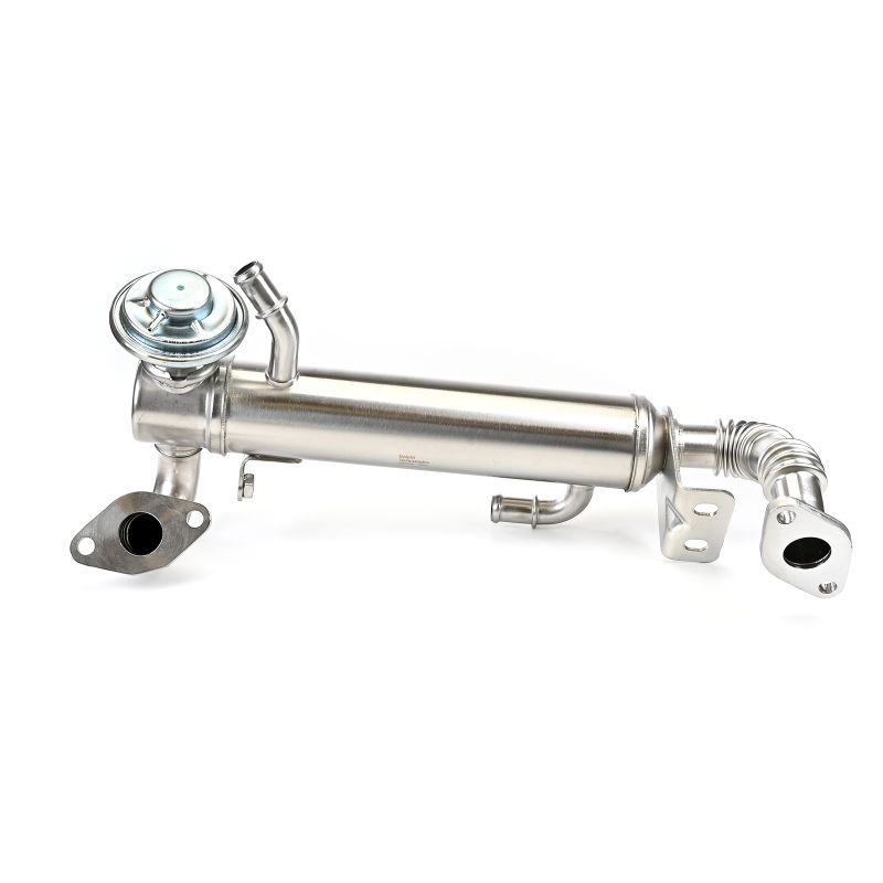 DELPHI EG10582-12B1 AGR-Ventil