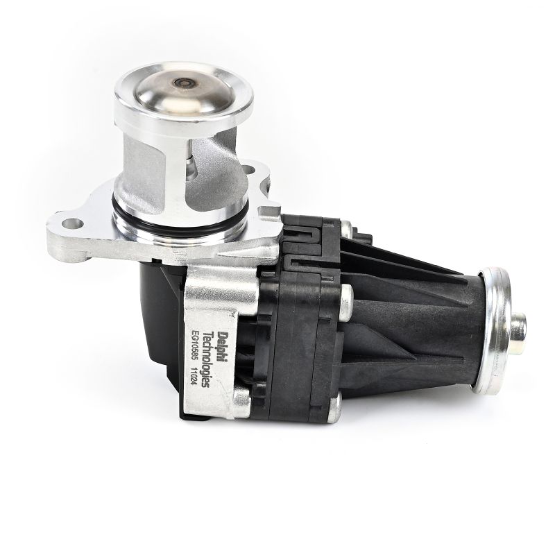 DELPHI Válvula EGR EG10585-12B1 EGR DELPHI Fiat PUNTO EG10585-12B1