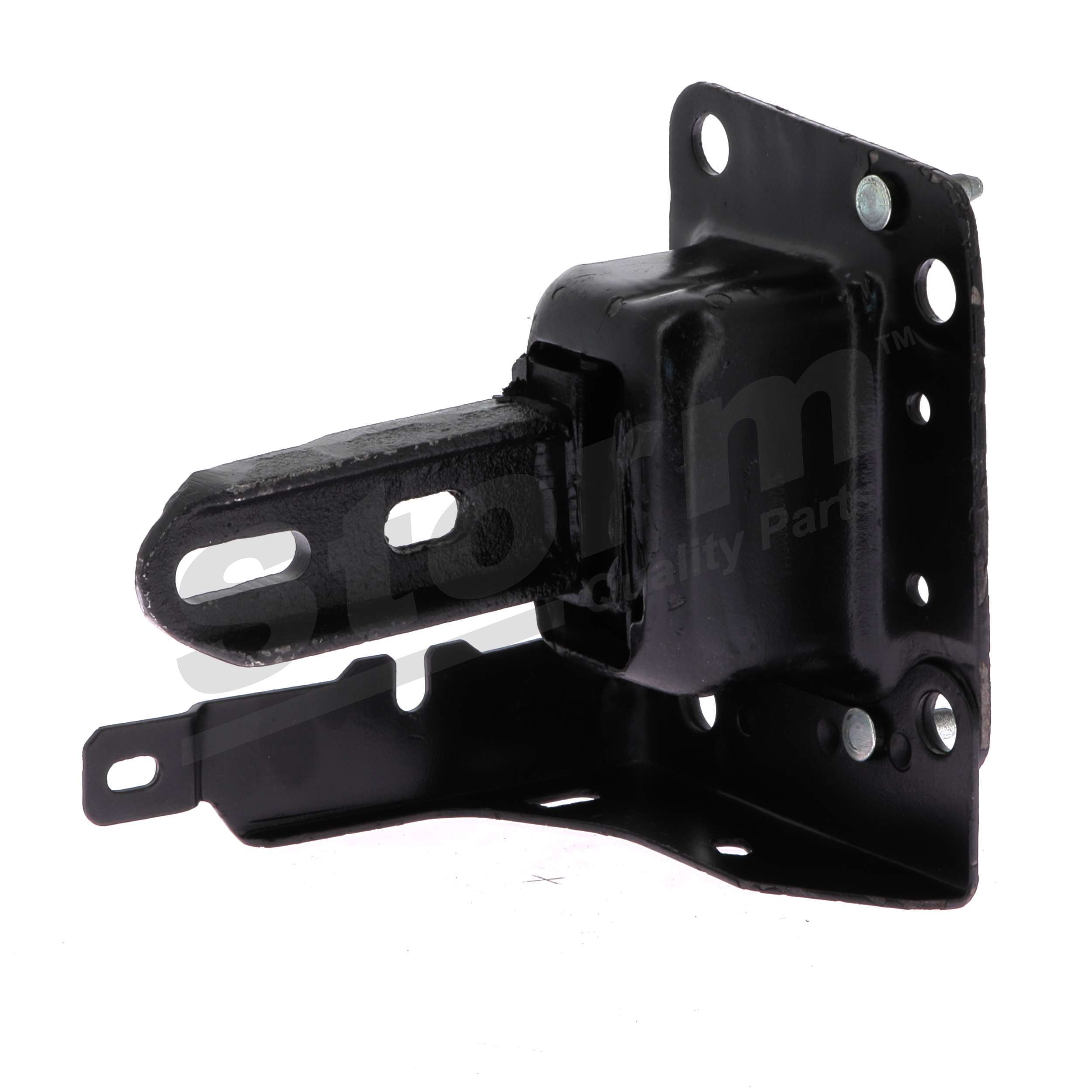 Felfüggesztés, motor F10114 STORM QUALITY PARTS 9680293680 DS