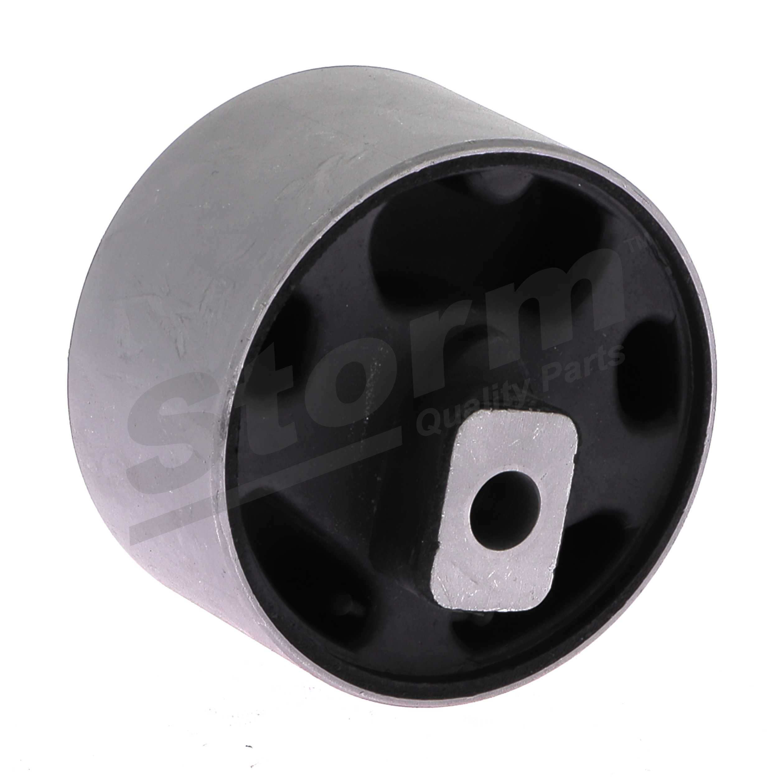 Support moteur F1057 STORM QUALITY PARTS 055199293F Volkswagen