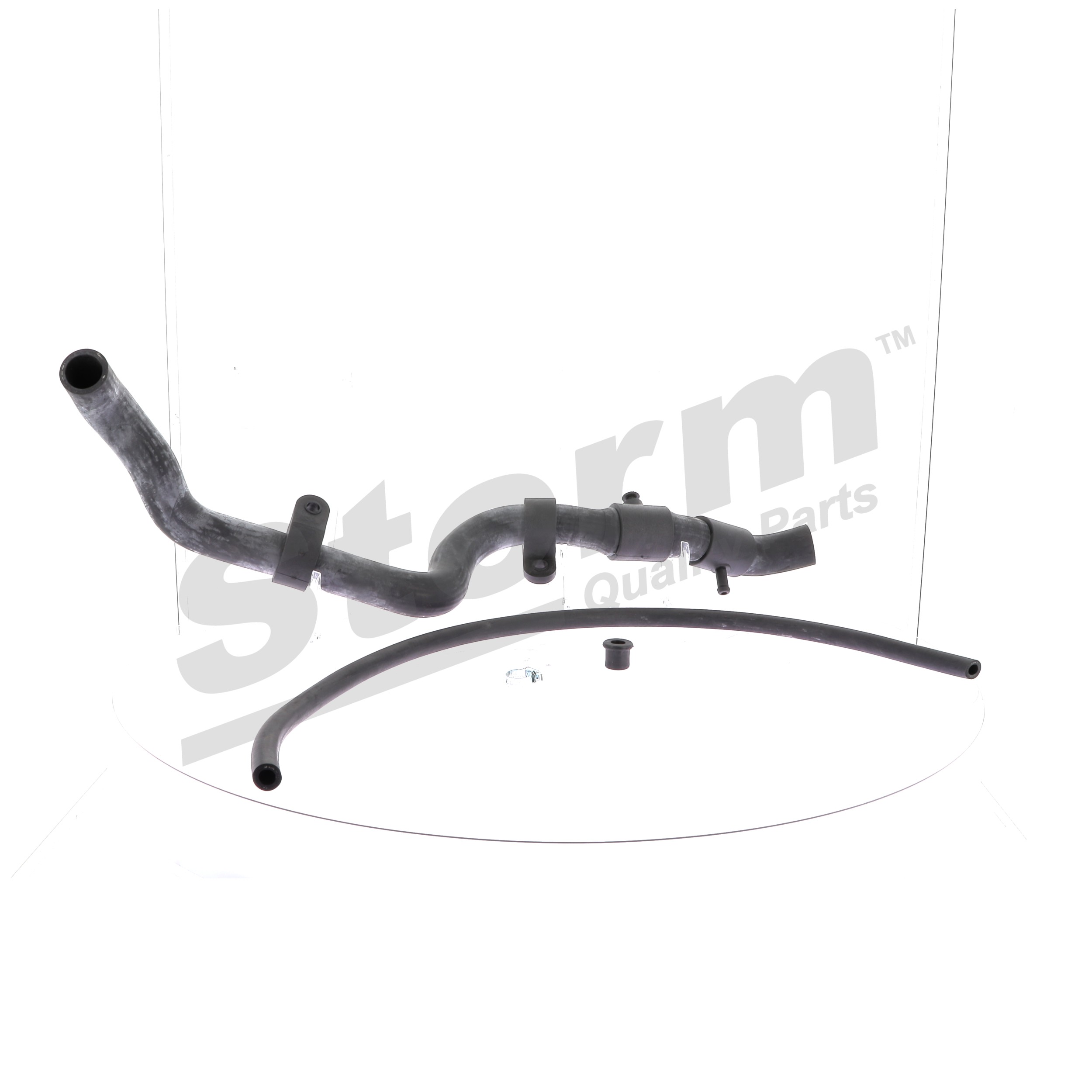 Flessibile radiatore F11686 STORM QUALITY PARTS 7700313741 RENAULT