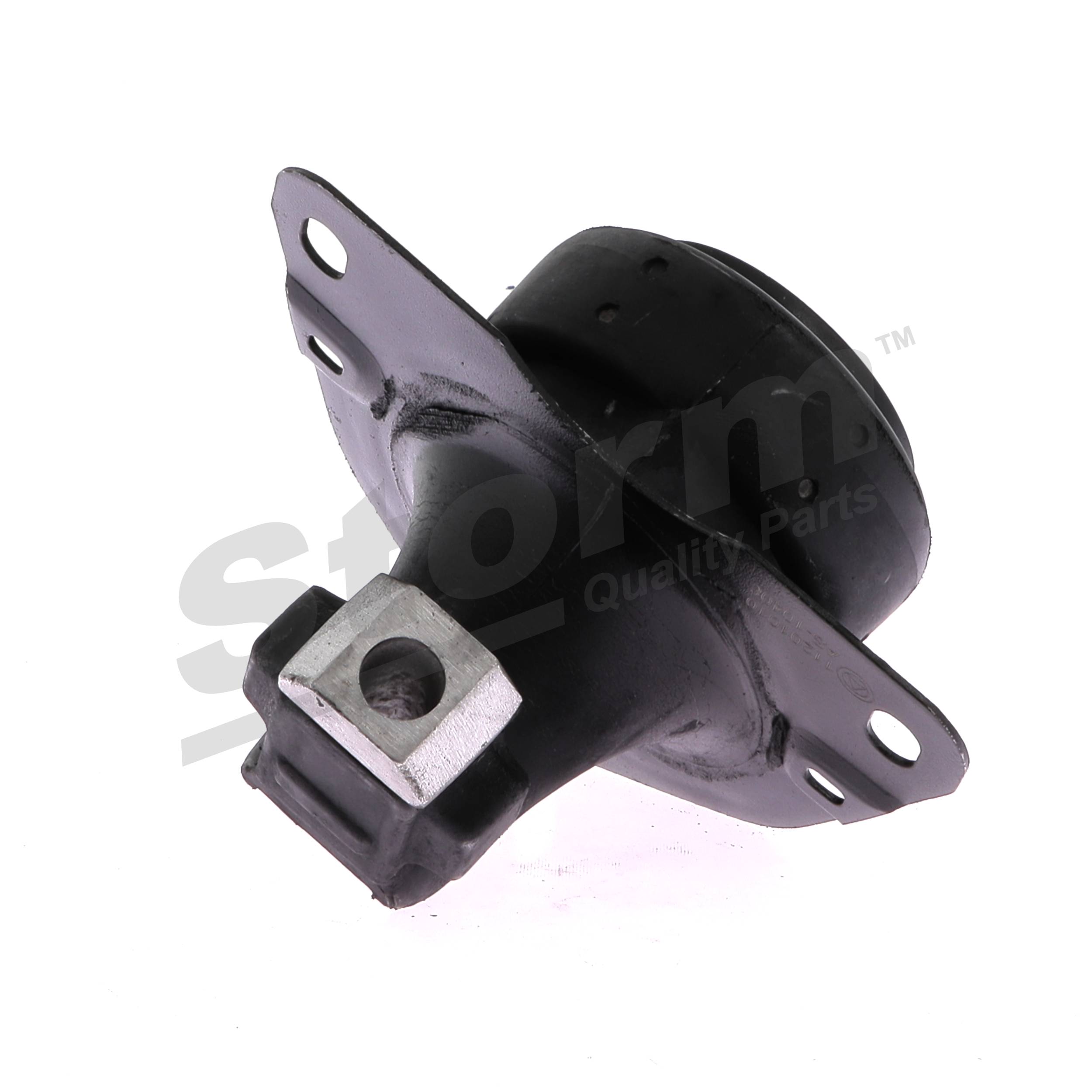 Paigutus, Mootor F1438 STORM QUALITY PARTS 6025402944 RENAULT