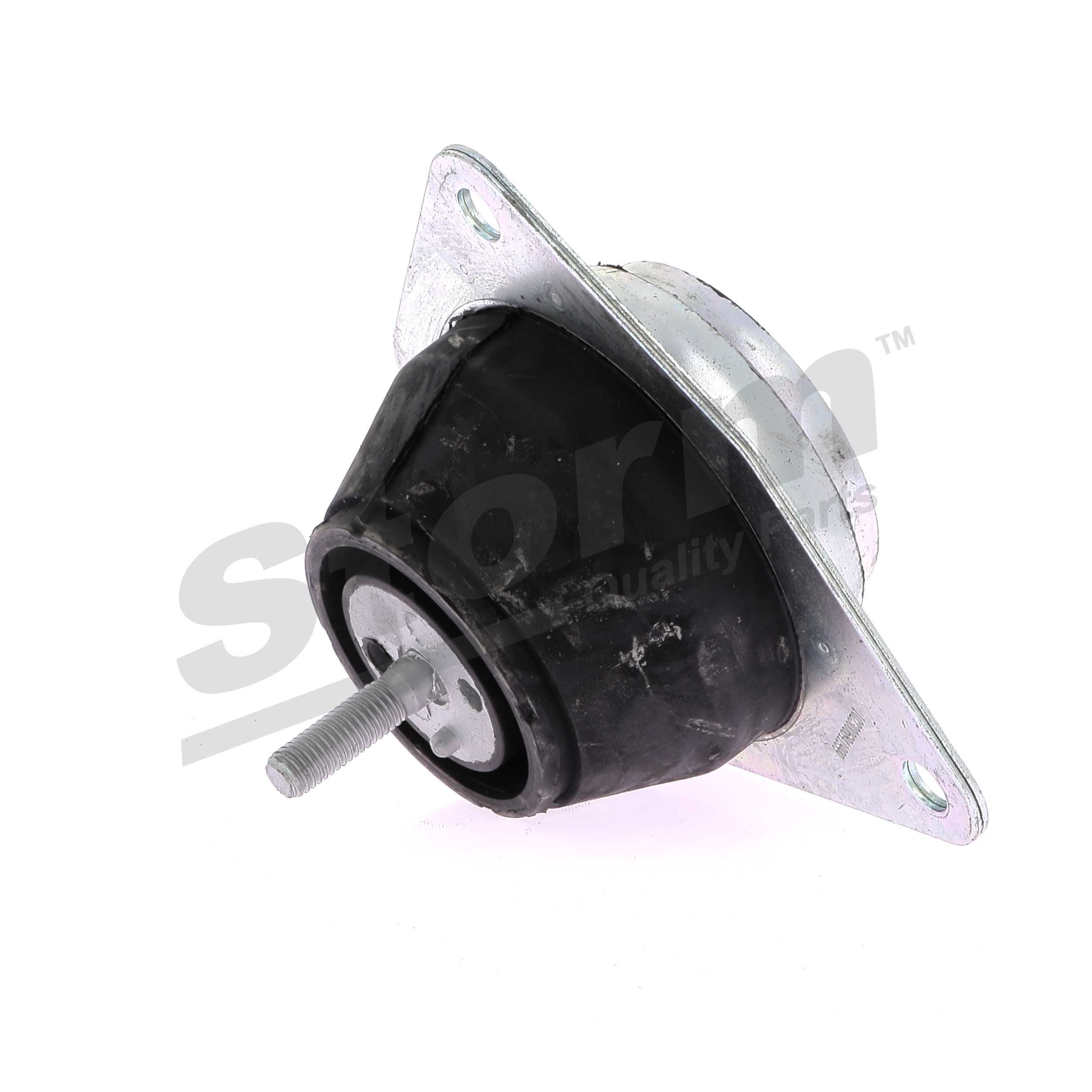 Suporte, motor F1999 STORM QUALITY PARTS 602 531 02 82 RENAULT
