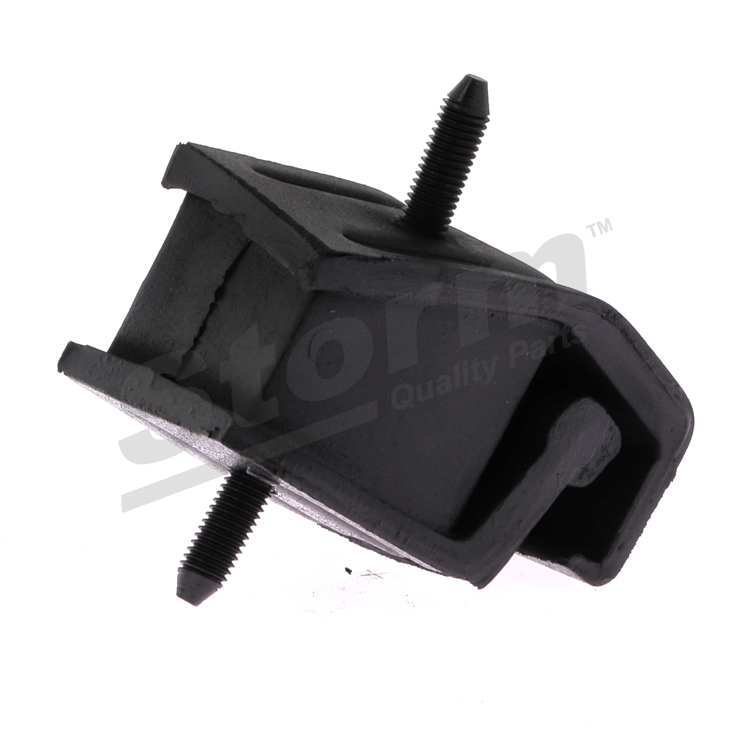 STORM QUALITY PARTS F2545 Motorhalter Renault Rapid Kastenwagen 1.2 54 PS Benzin Kosten
