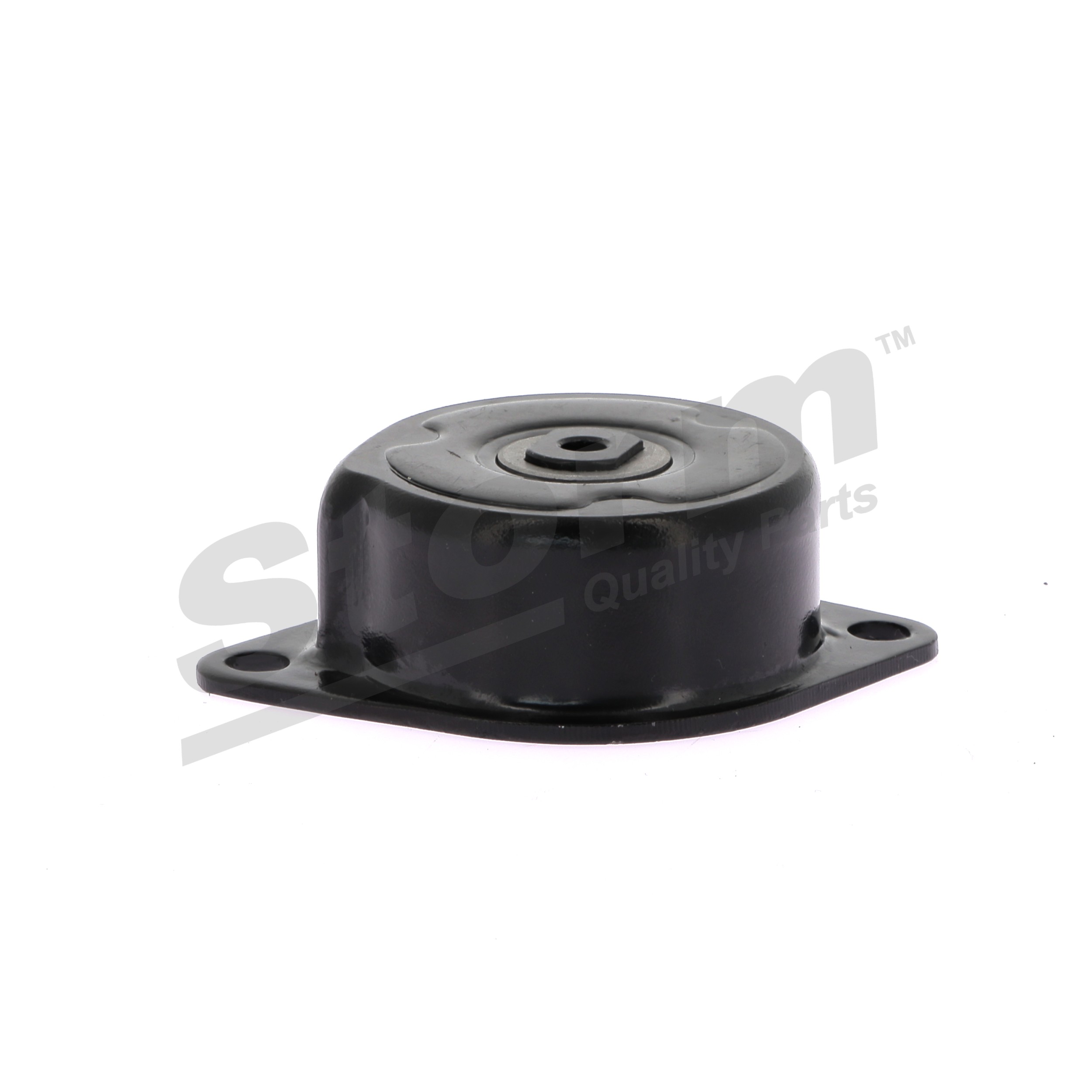 STORM QUALITY PARTS F4447 Τεντωτήρας ιμάντα, ιμάντας poly-v για Volkswagen Vento 1H2 1.9 TDI 90 PS 1996 1Z Πετρέλαιο STORM QUALITY PARTS F4447 Τεντωτήρας ιμάντα, ιμάντας poly-v VW Vento 1h2 1.9 TDI 90 PS Πετρέλαιο τιμες