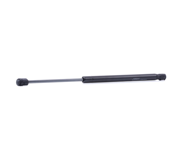 RIDEX 219G1054 Gasveer achterklep