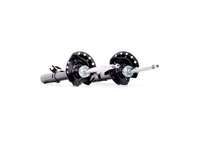 RIDEX 854S18195 Amortisseur