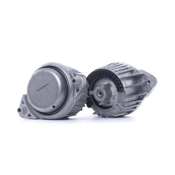RIDEX 247E0796 Motora stiprinājums Mercedes W204 C 220 CDI (204.008) 163 ZS Dīzelis cena