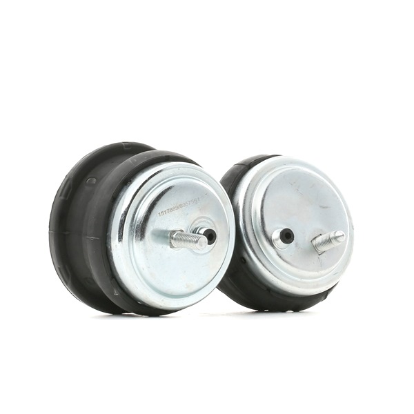 RIDEX 247E0799 Moottorin tuki