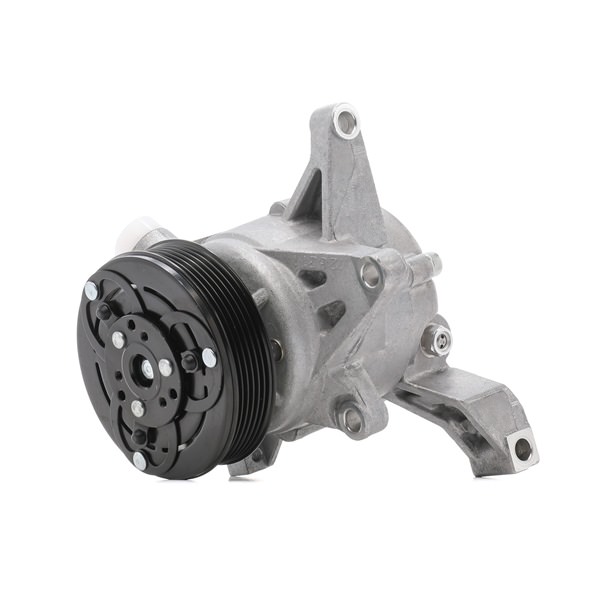 RIDEX 447K0625 Aircopomp