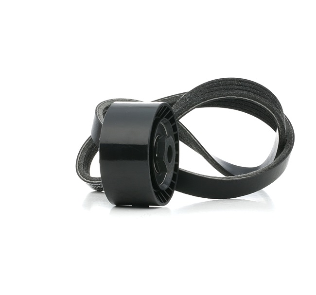RIDEX 542R0837 Jeu de courroies trapézoïdales à nervures