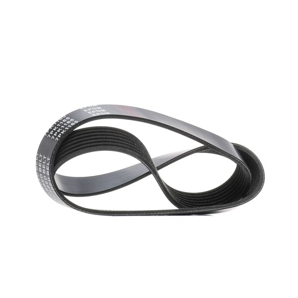 Correa trapecial poli V 305P0571 RIDEX 11720-1HC1A RENAULT