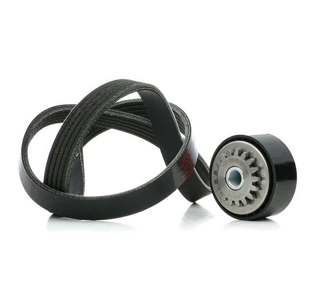 RIDEX 542R0855 Poly v riemen kit Renault Clio 2 1.2 (BB0A, BB0F, BB10, BB1K, BB28, BB2D, BB2H, CB0A,... 58 Pk Benzine prijs